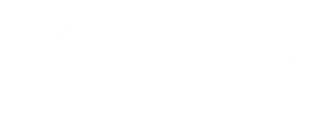 WordPress Partner